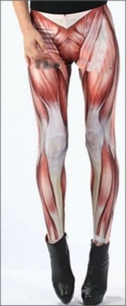 Legging Musculos (Cód. 008)
